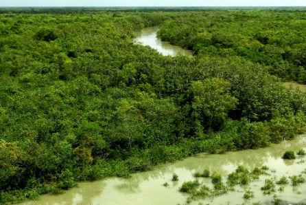 Sundarbans-trip-with calcutta-capsule